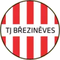 TJ Březiněves