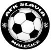 AFK Slavia Malešice